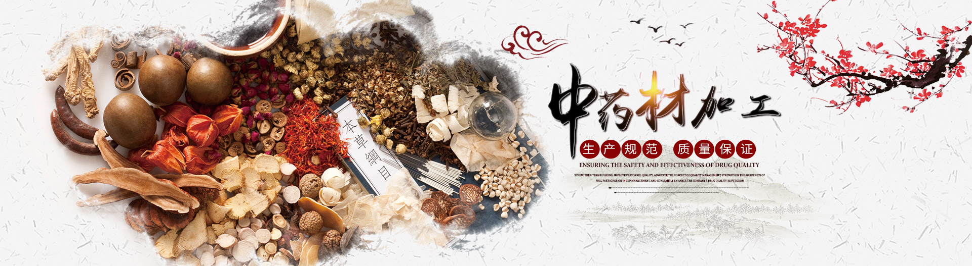 湖南中药材种植|药品批发_湖南神舟中药饮片有限公司