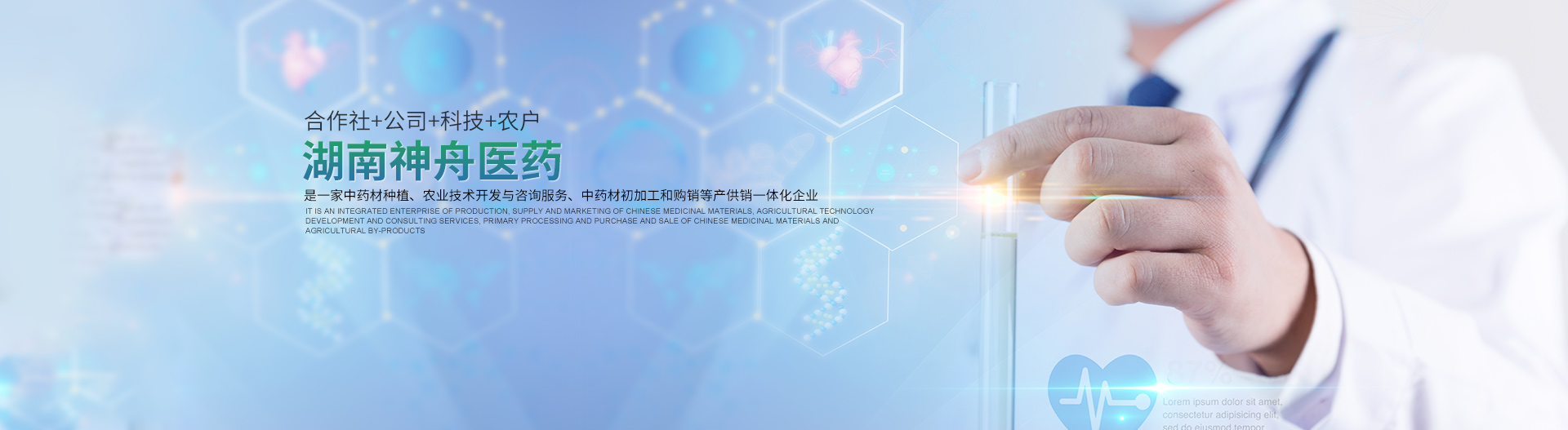 湖南中药材种植|药品批发_湖南神舟中药饮片有限公司
