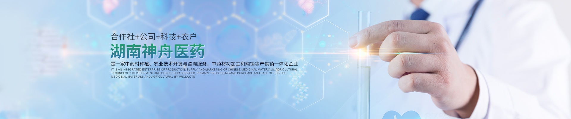 湖南中药材种植|药品批发_湖南神舟中药饮片有限公司
